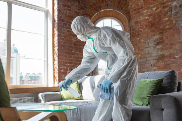 Best Environmental Consulting for Mold Prevention  in USA